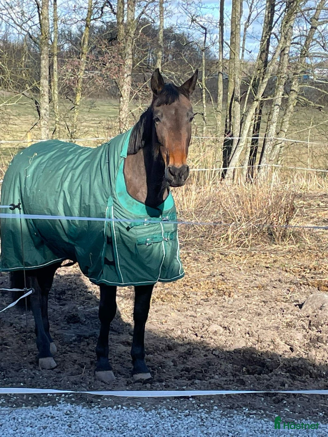 Galleribild {{count}}