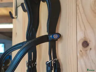 Träns hästutrustning till salu: PS High Jump - Annons 3