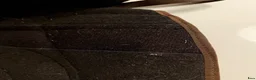 Sadlar hästutrustning till salu: Omega Innovation Dressage ridpad/barbackapad  - Annons 8