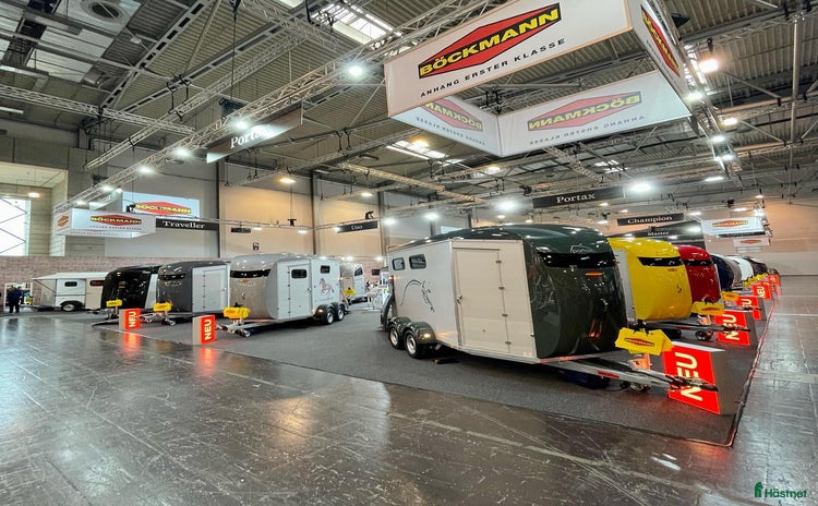 Hästtransporter  fordon & transport till salu i Vallentuna - Annons 10