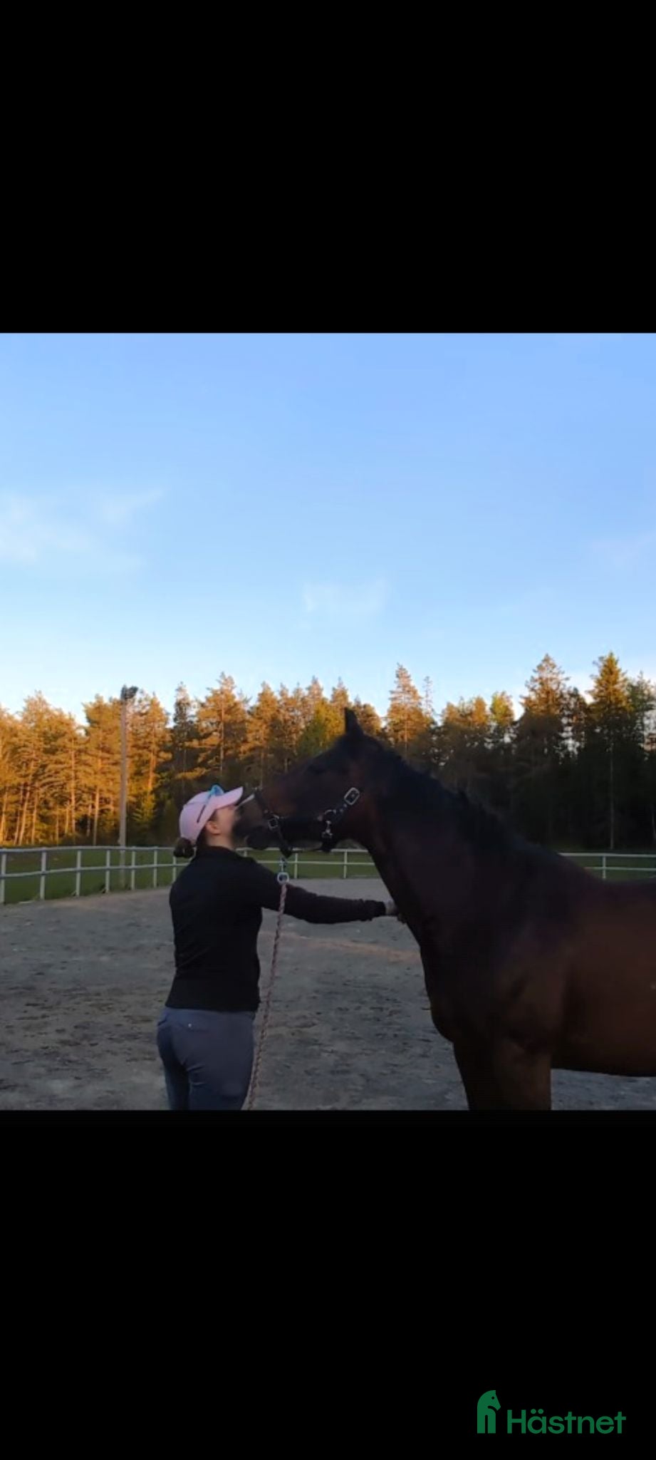  hästjobb Gårds jobb sökes, flyttbar vid boende - Annons 5