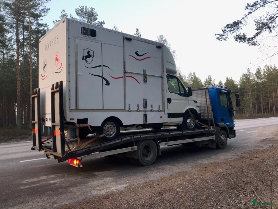 Hästlastbilar  fordon & transport till salu: Köpes hästlastbil  - Annons 1