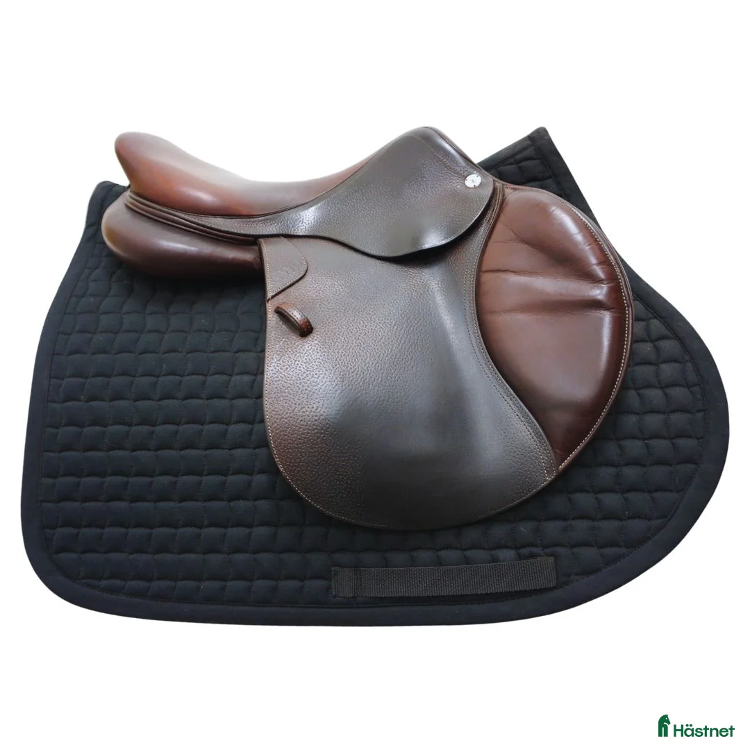 Sadlar hästutrustning till salu: CWD SE01 Classic 17" - Annons 2