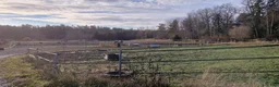  stallplats finnes: Ledig box Viksberg Södertälje  - Annons 6