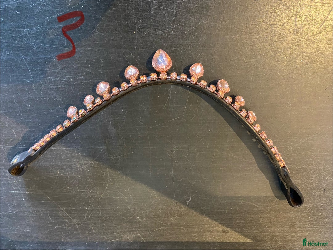 Övrig Hästutrustning hästutrustning till salu: Pannband och benlindor  i Bollebygd - Annons 3