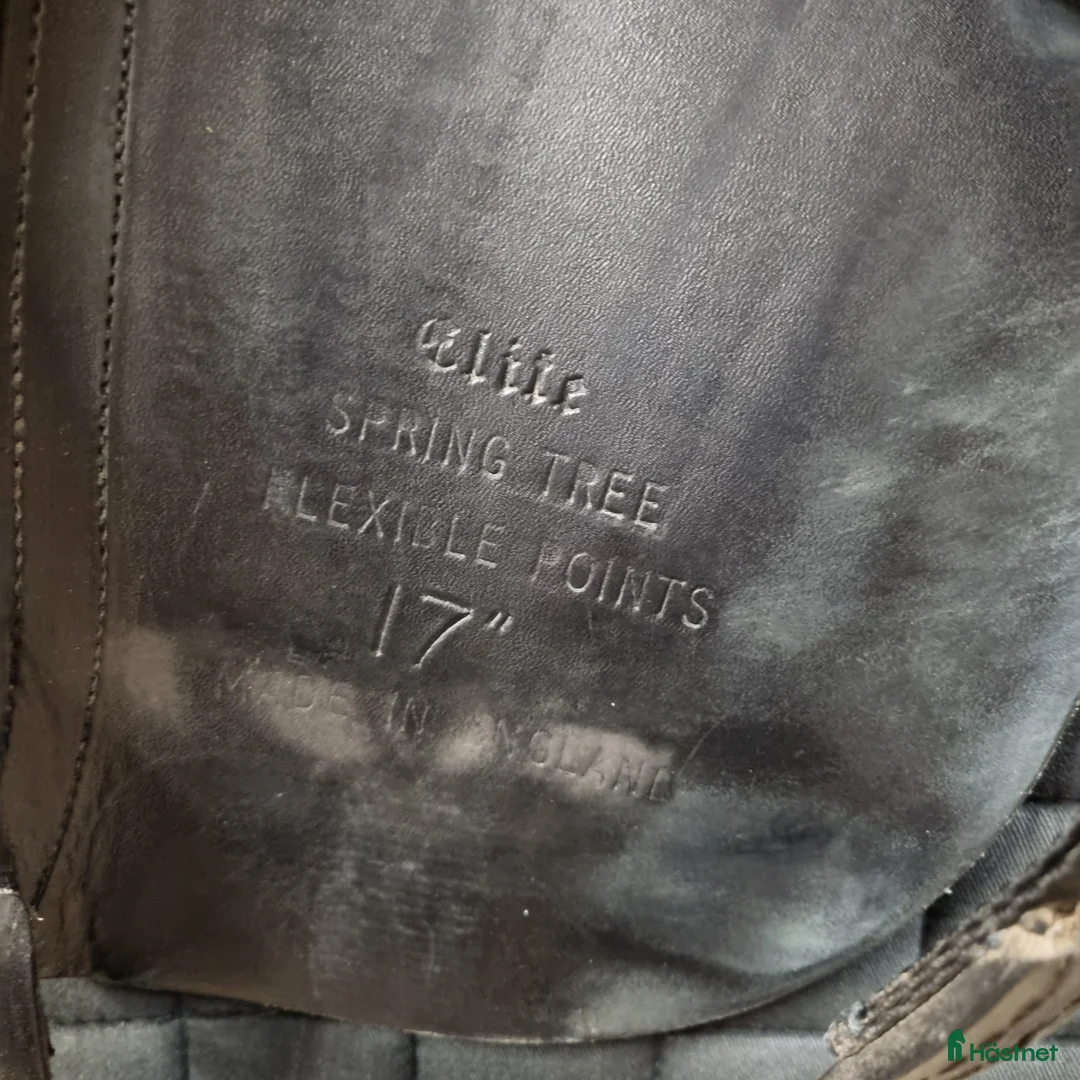 Sadlar hästutrustning till salu: Wellington Elite i Ludvika - Annons 5