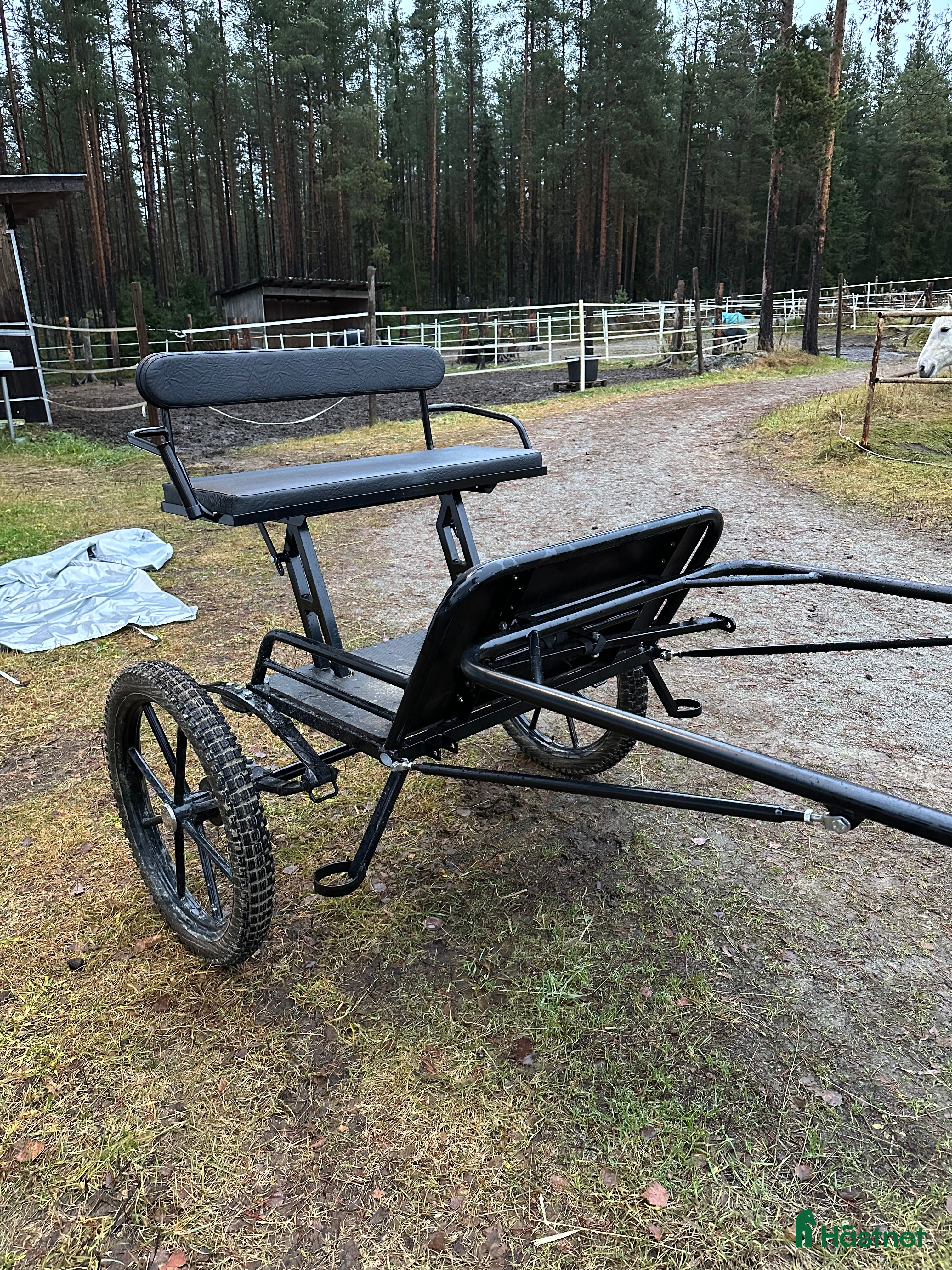 Körvagnar körning till salu: Drive out-vagn för stor häst i Lycksele - Annons 1