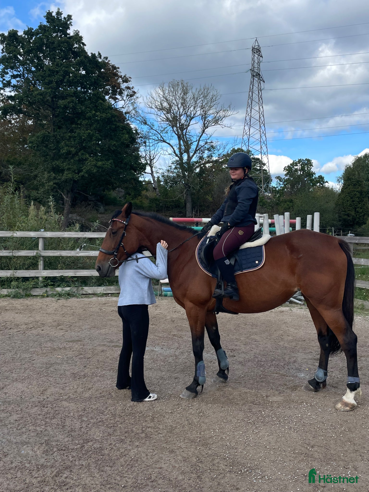  hästar Trygg Ponny sökes - Annons 2