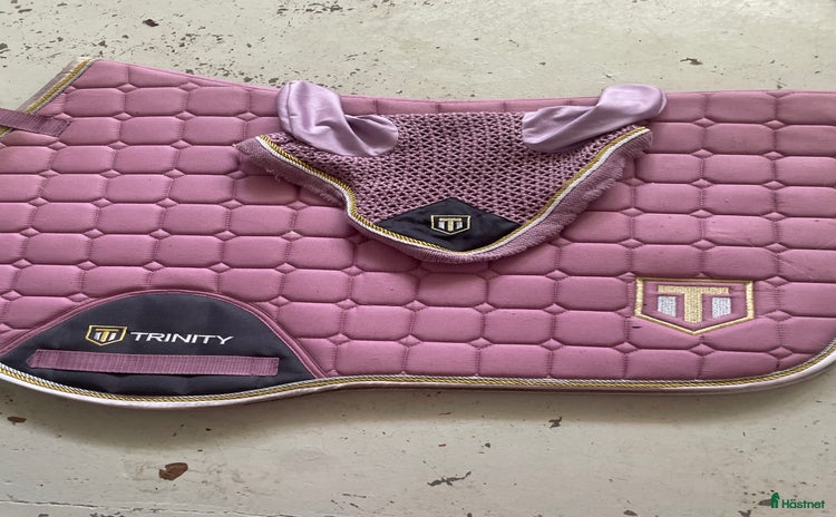 Schabrak & Vojlockar hästutrustning till salu i Markaryd - Annons 4