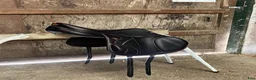 Sadlar hästutrustning till salu: Equipe EK-Evo 16,5” - Annons 2