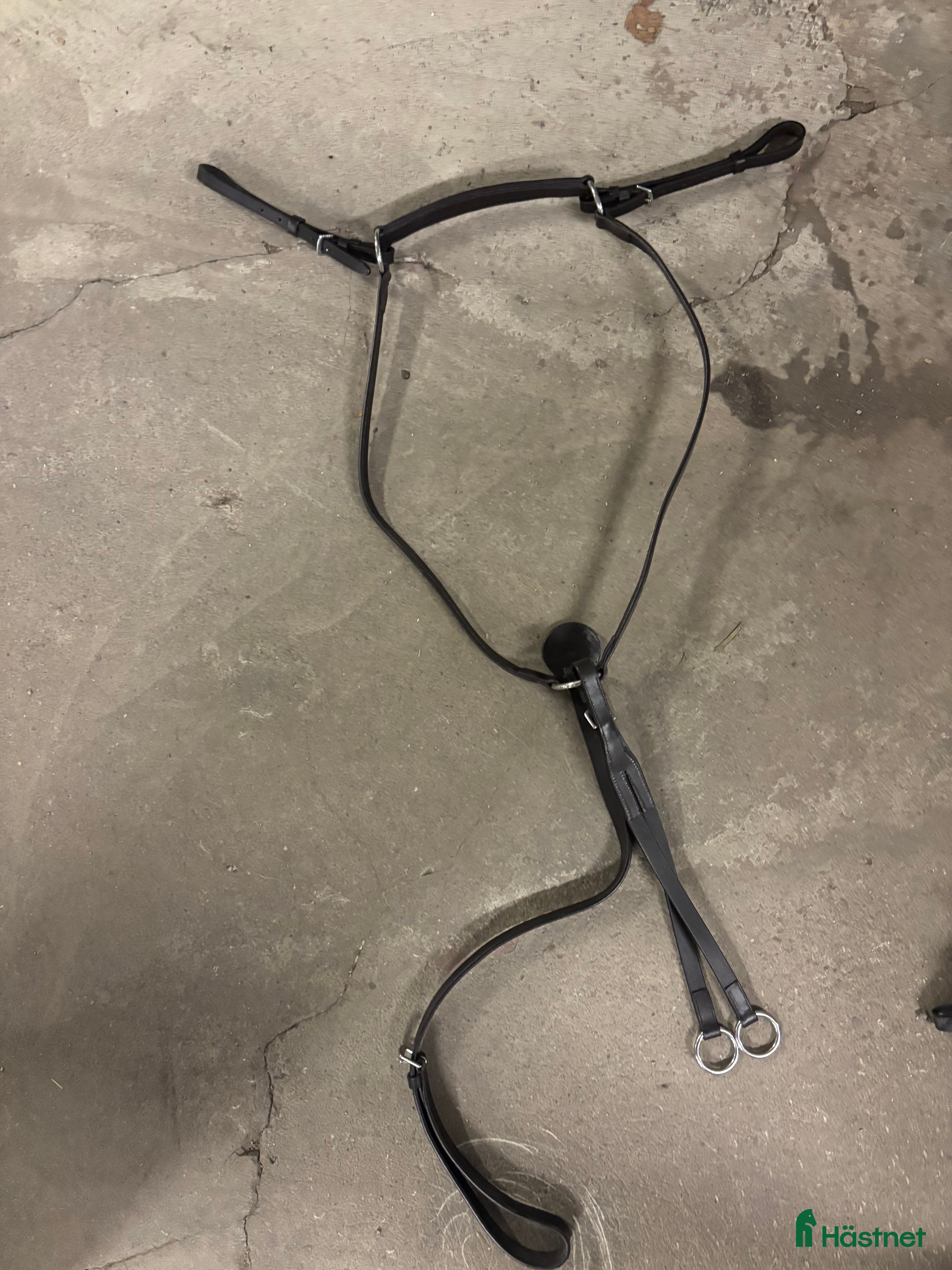 Sadeltillbehör hästutrustning till salu: Martingal i Stockholm - Annons 11
