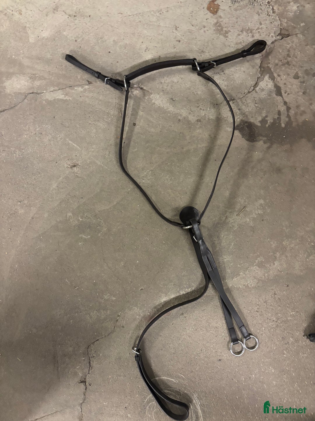 Sadeltillbehör hästutrustning till salu: Martingal i Stockholm - Annons 1