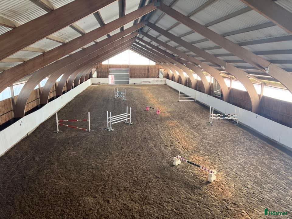  stallplats Ledig boxplats- Stall Dalsta i Grödinge - Annons 4