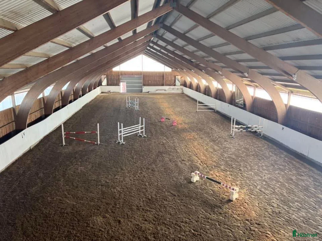  stallplats finnes: Ledig boxplats- Stall Dalsta i Grödinge - Annons 1