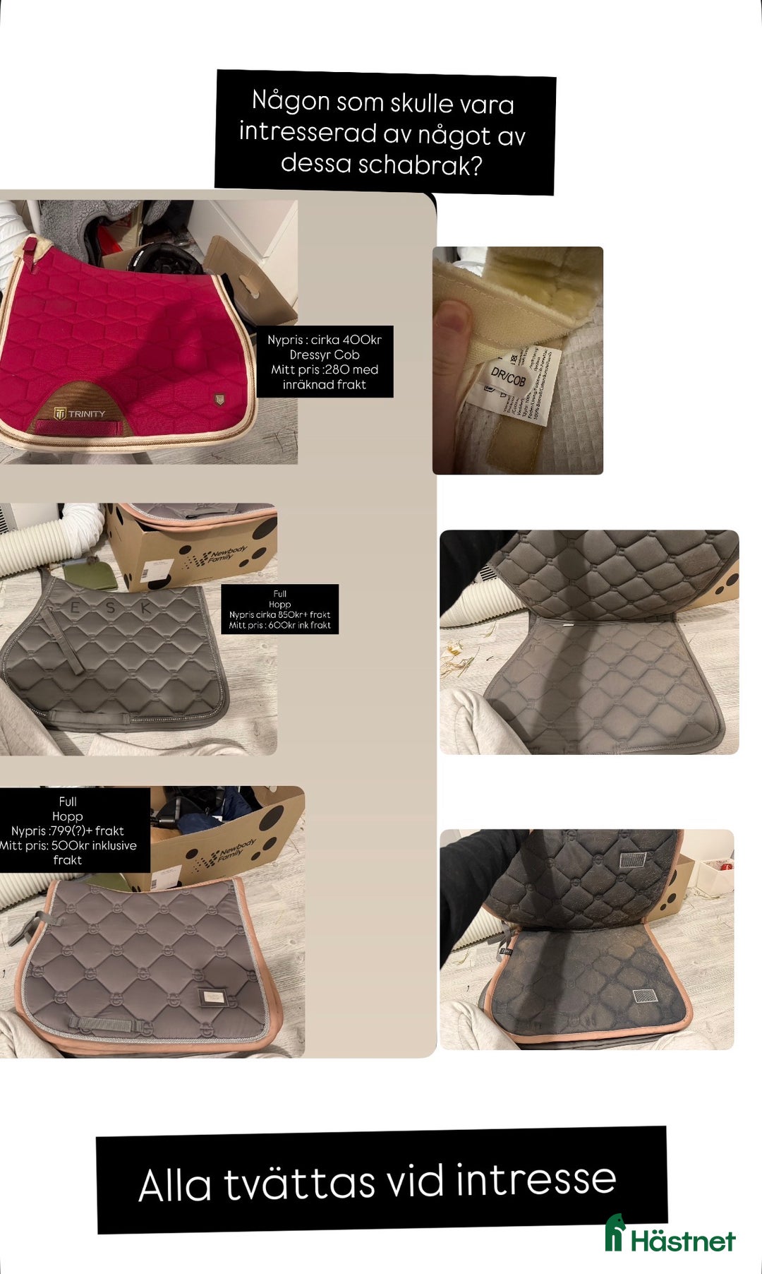 Schabrak & Vojlockar hästutrustning till salu: Fynd schabrak  i Västerås - Annons 1