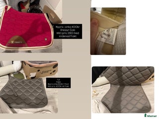 Schabrak & Vojlockar hästutrustning till salu: Fynd schabrak i Västerås - Annons 24