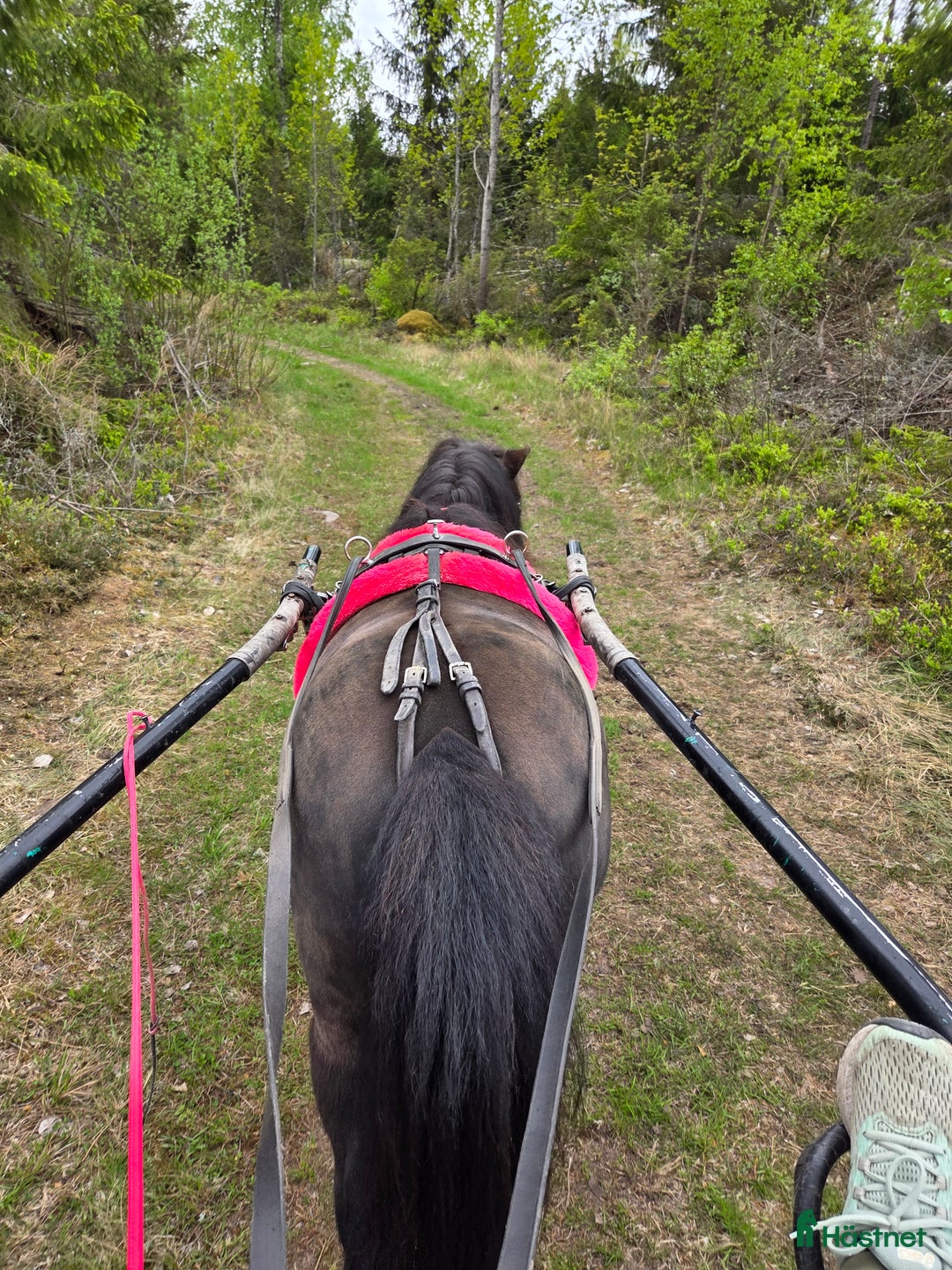 Galleribild {{count}}