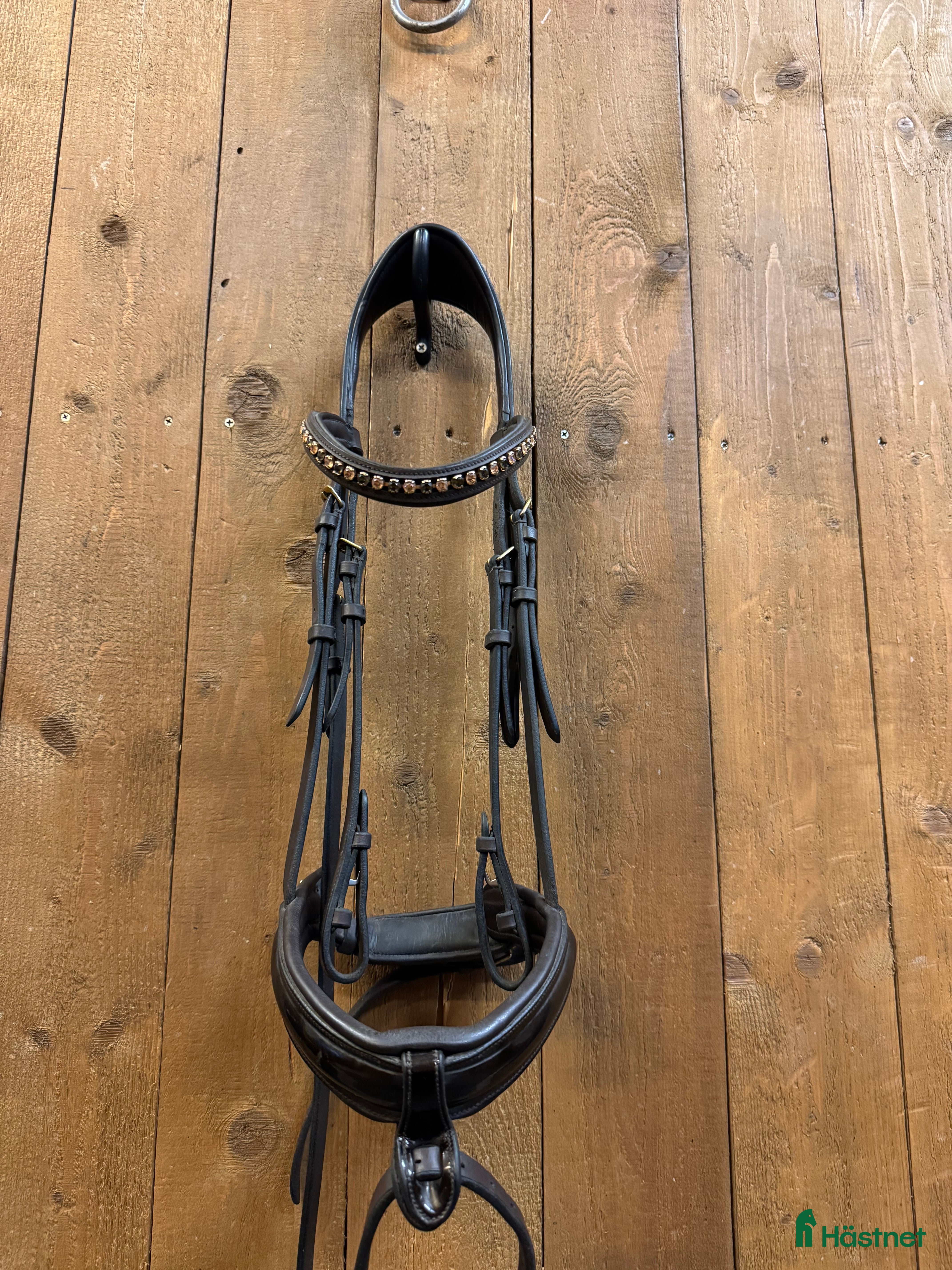 Träns hästutrustning Brunt Eponia träns  - Annons 1