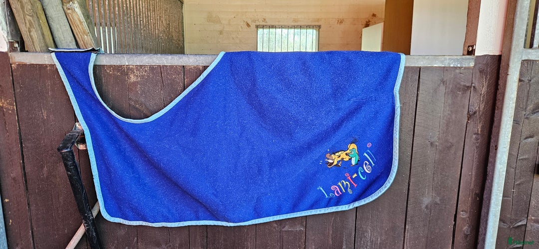 Övrig Hästutrustning hästutrustning till salu: Massa ponny saker i Vingåker - Annons 14