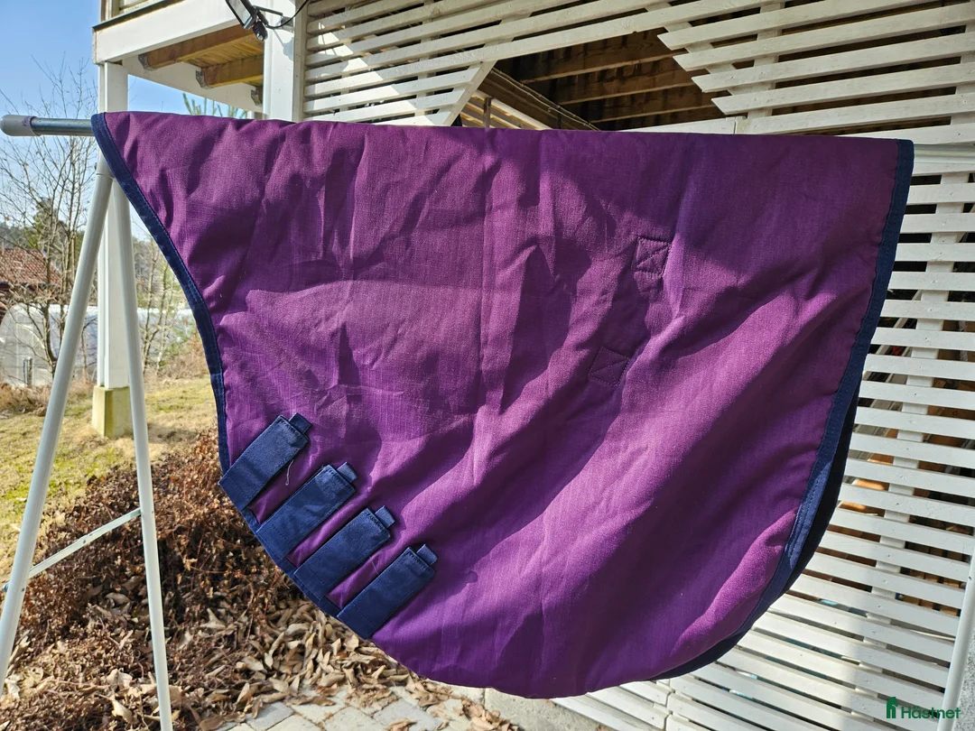 Täcken hästutrustning till salu: 200 gr inkl halstäcke Vacker färg - Annons 3