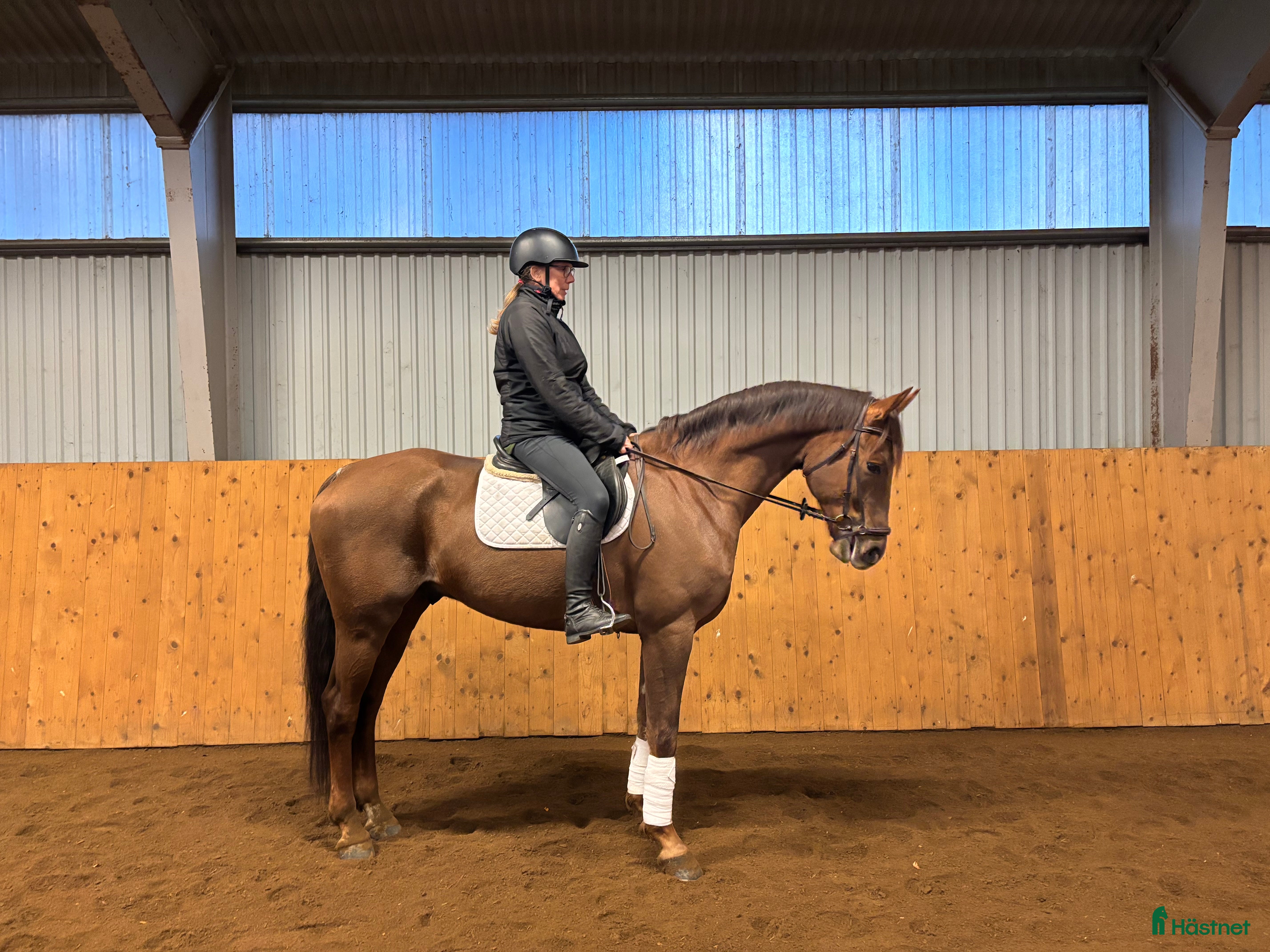  hästar Dressyr val i Skara - Annons 1