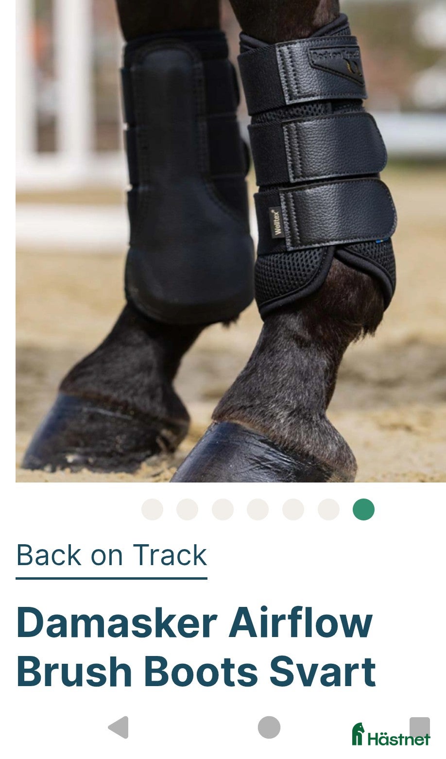 Benskydd hästutrustning BoT strykkappor - Annons 2