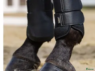 Benskydd hästutrustning BoT strykkappor - Annons 1