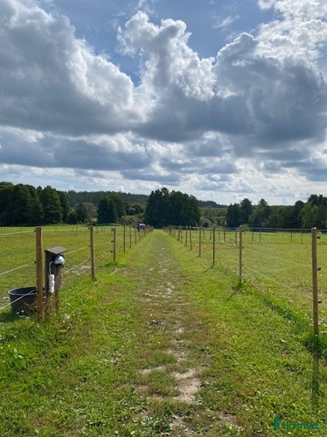  stallplats finnes: Hästhotell i Stockholm, nära Kapellskär i Rimbo - Annons 3