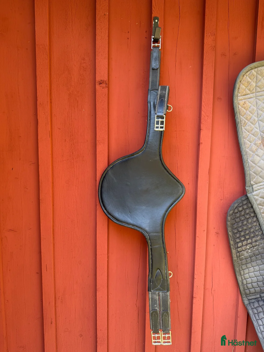 Sadeltillbehör hästutrustning till salu: Magplatta - svart - 115 - Annons 2