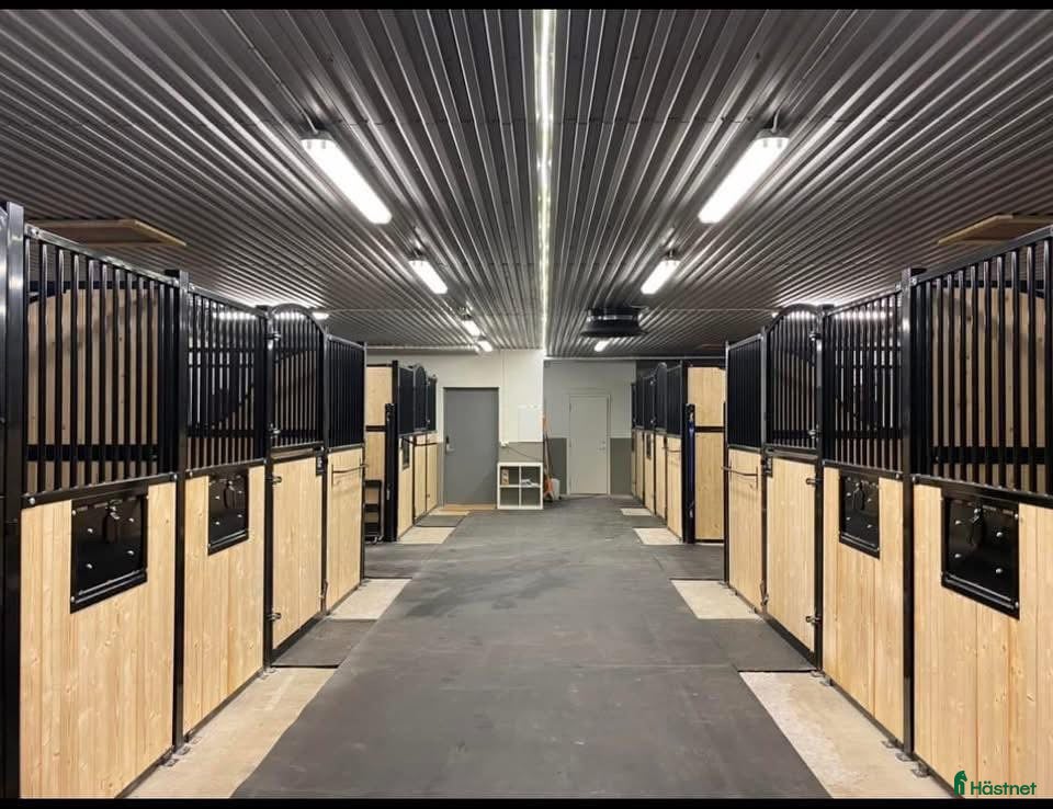  stallplats Boxplats finnes i Eslöv  i Eslöv - Annons 13