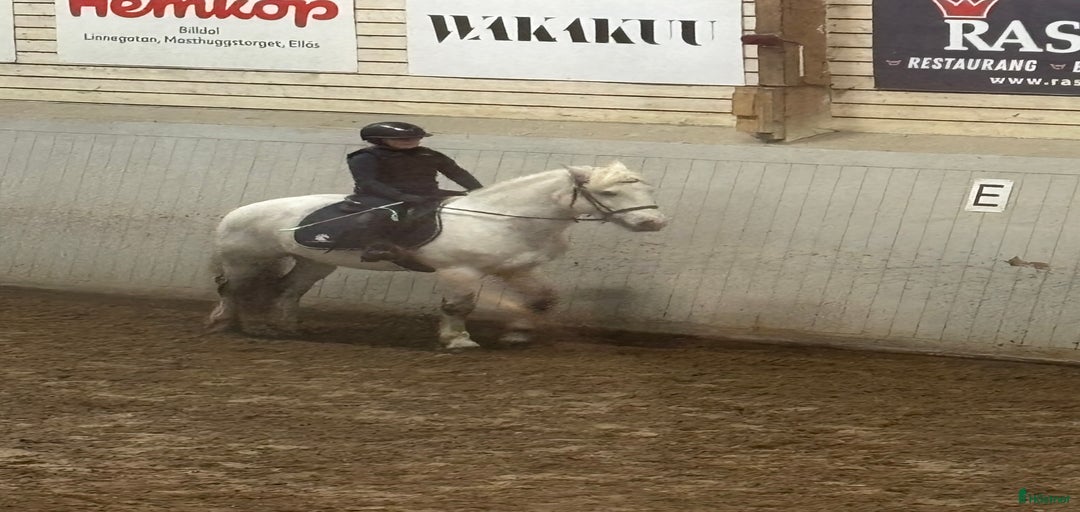 Galleribild {{count}}