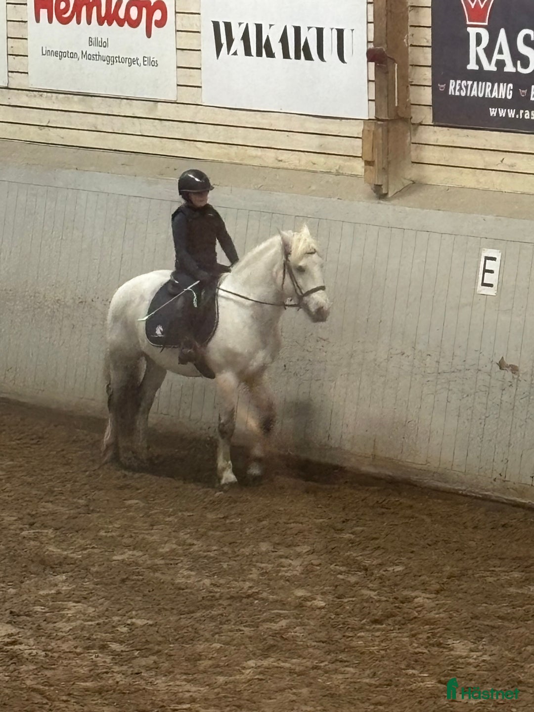 Galleribild {{count}}