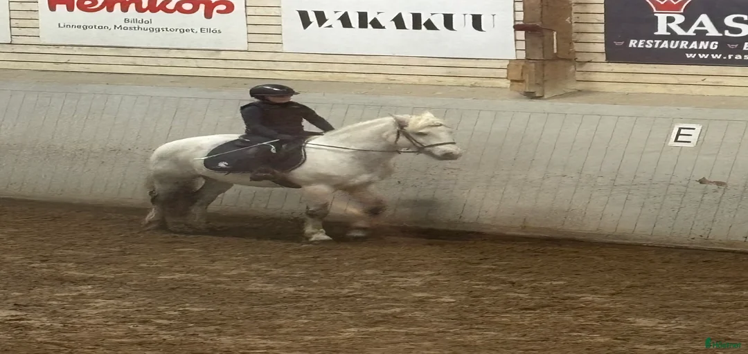 Galleribild {{count}}