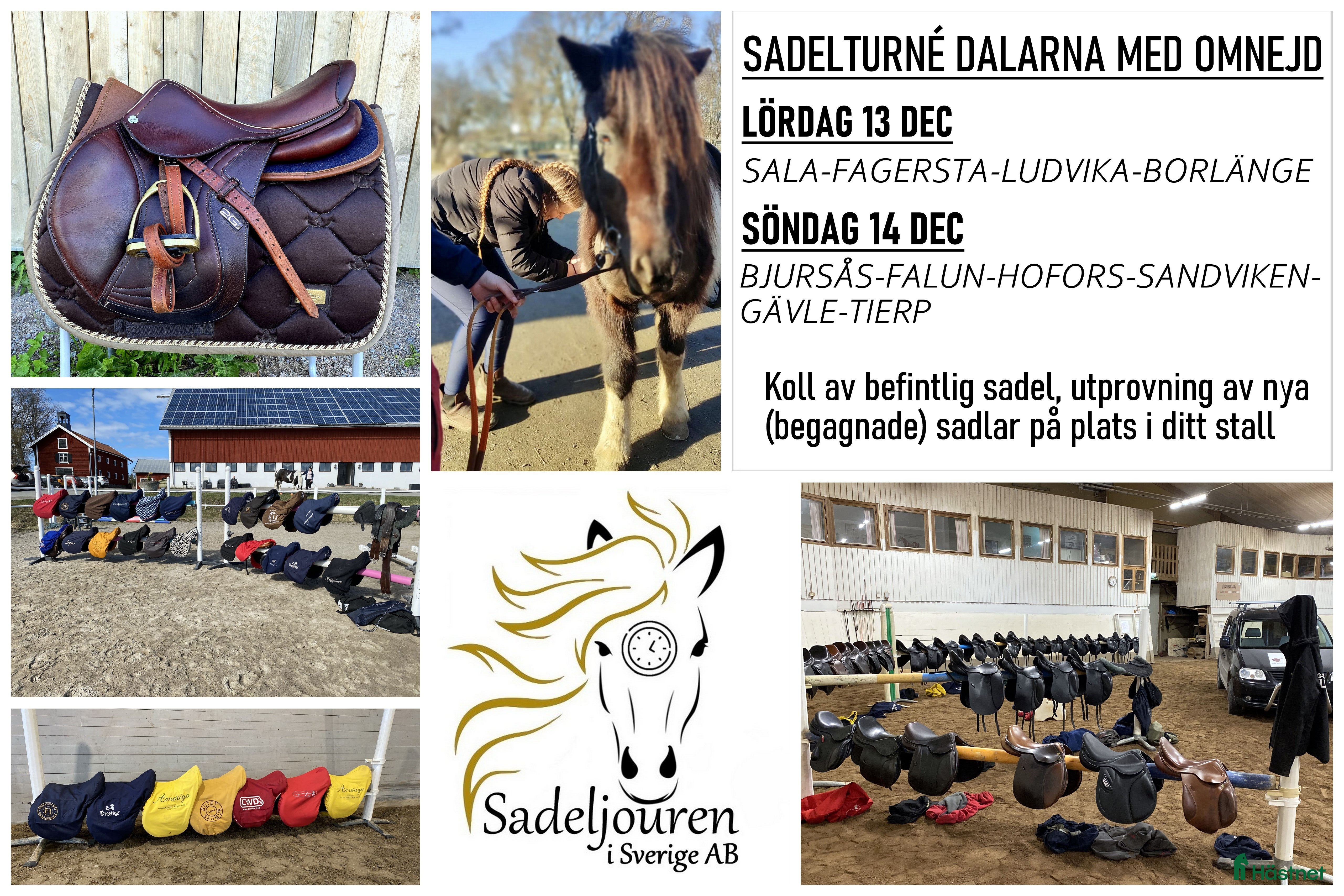 Sadlar hästutrustning till salu: Sadelturné Dalarna helgen 13-14 december i Falun - Annons 5