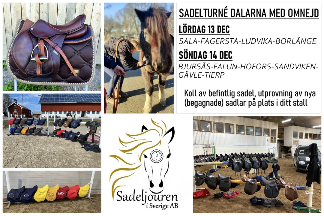 Sadlar hästutrustning till salu: Sadelturné Dalarna helgen 13-14 december i Falun - Annons 1