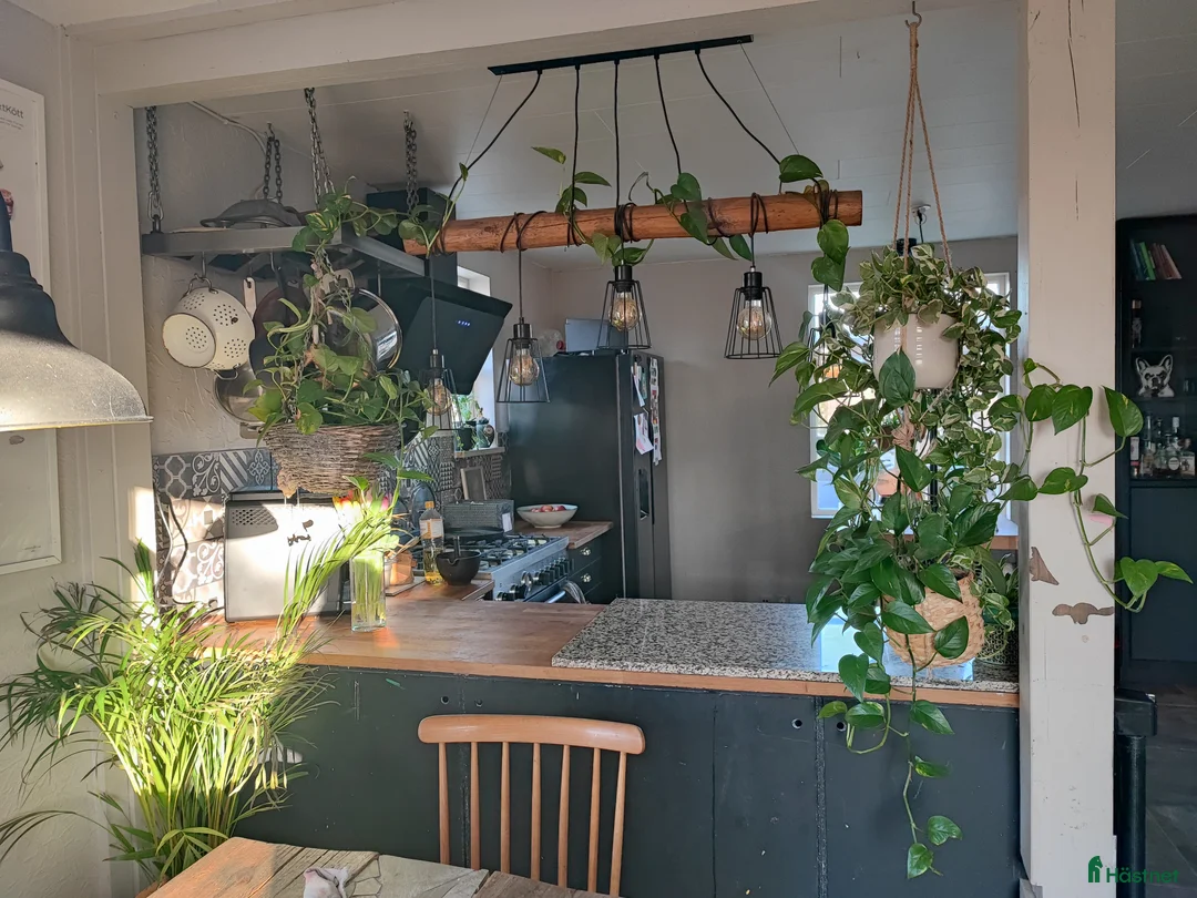  hästgårdar till salu: Mindre gård i Frövi - Annons 4