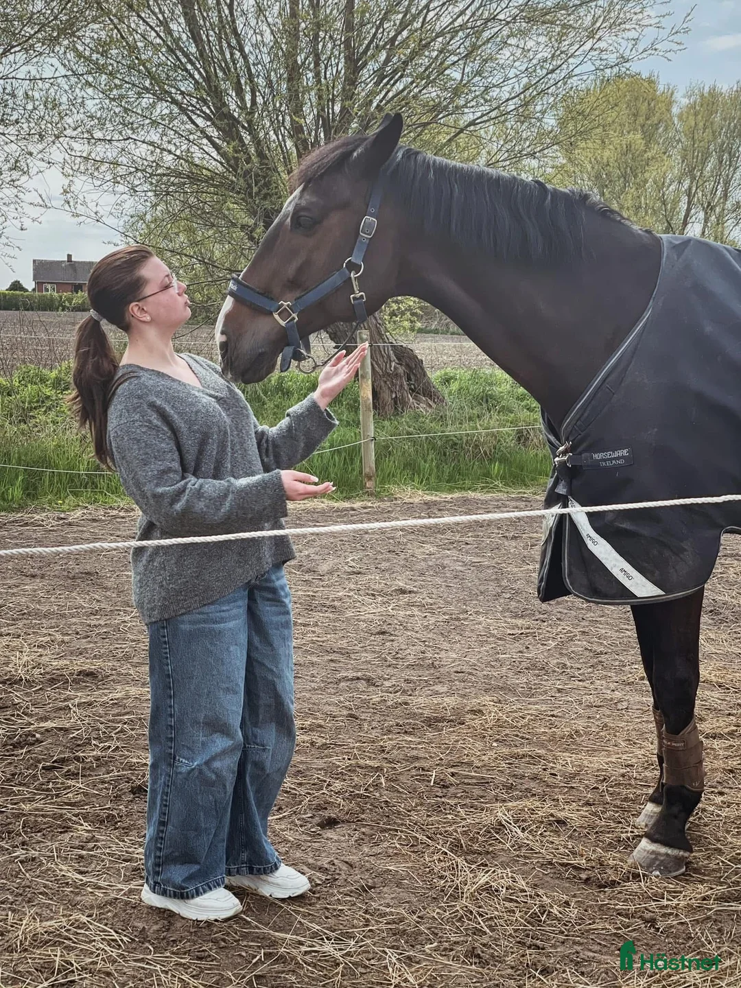  hästservice finnes: Stallhjälpen (Företag) - Annons 2