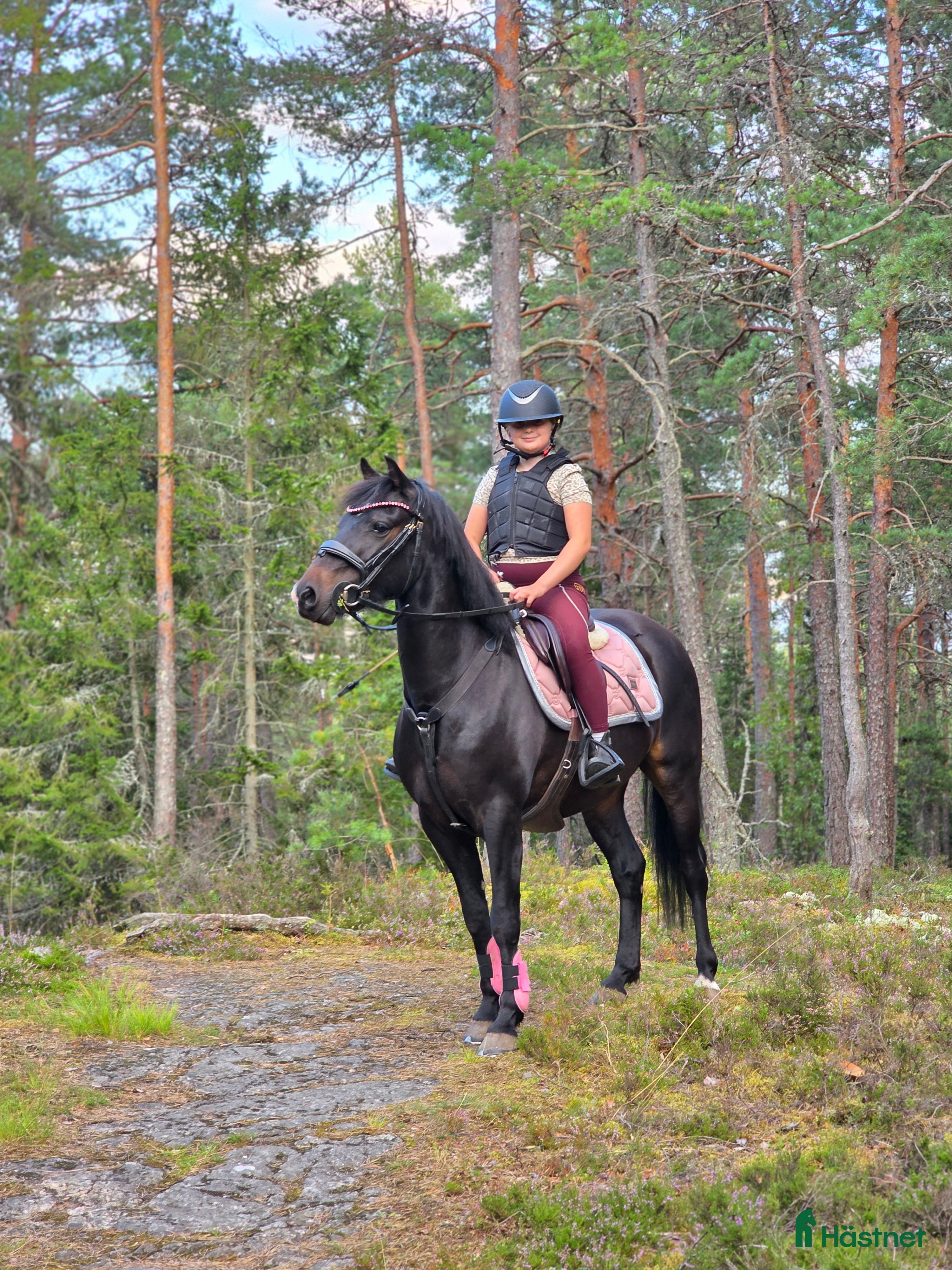  hästar Toppen ponny  - Annons 18