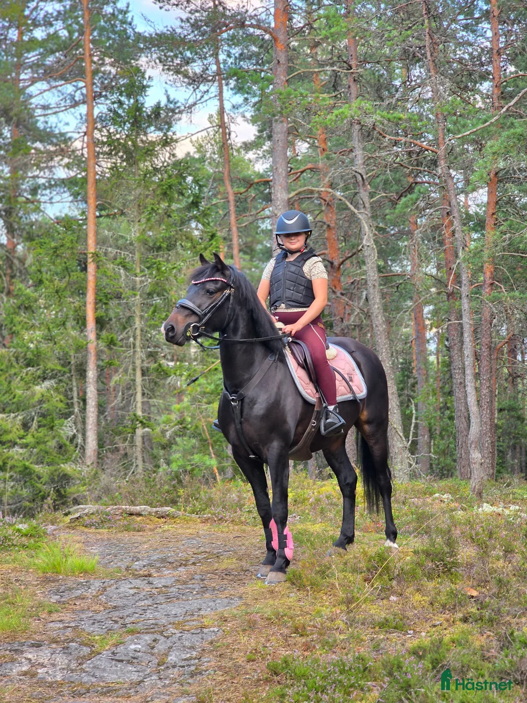 Allround hästar till salu: Toppen ponny  - Annons 1