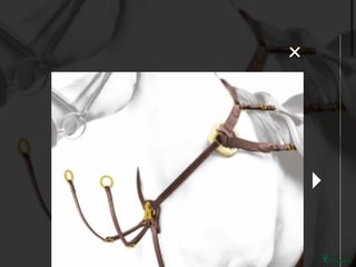 Övrig Hästutrustning hästutrustning till salu: Equipe Förbygel Event med Mässingspänne i Halmstad - Annons 2