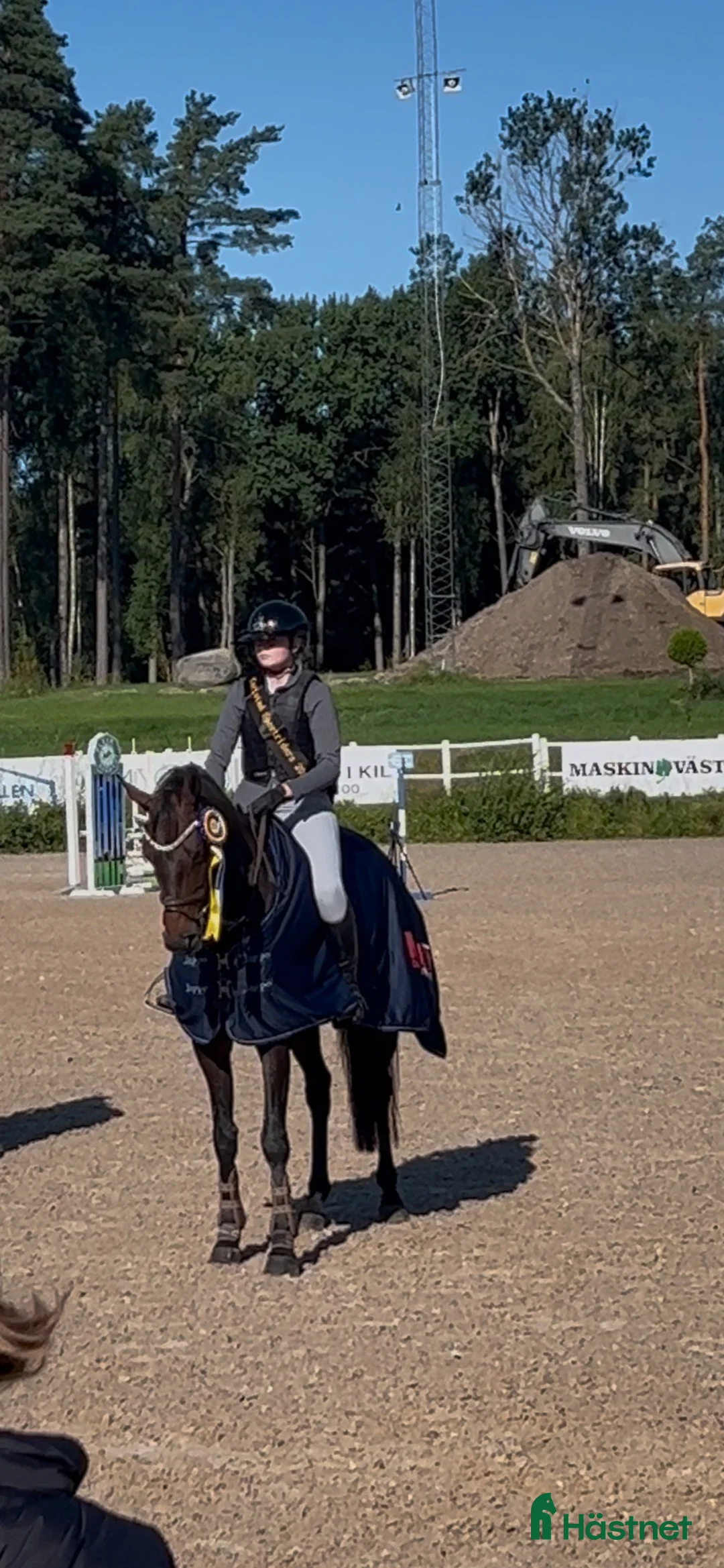 Hoppning hästar till salu: Ärlig tävlingshäst med ett hjärta av guld - Annons 2