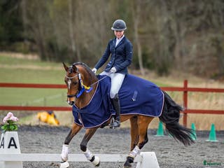 hästar FEI-ponny med power under hovarna i Nacka - Annons 19