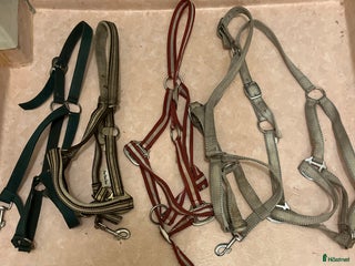 Övrig Hästutrustning hästutrustning till salu: 5 st grimmor i Borensberg - Annons 4