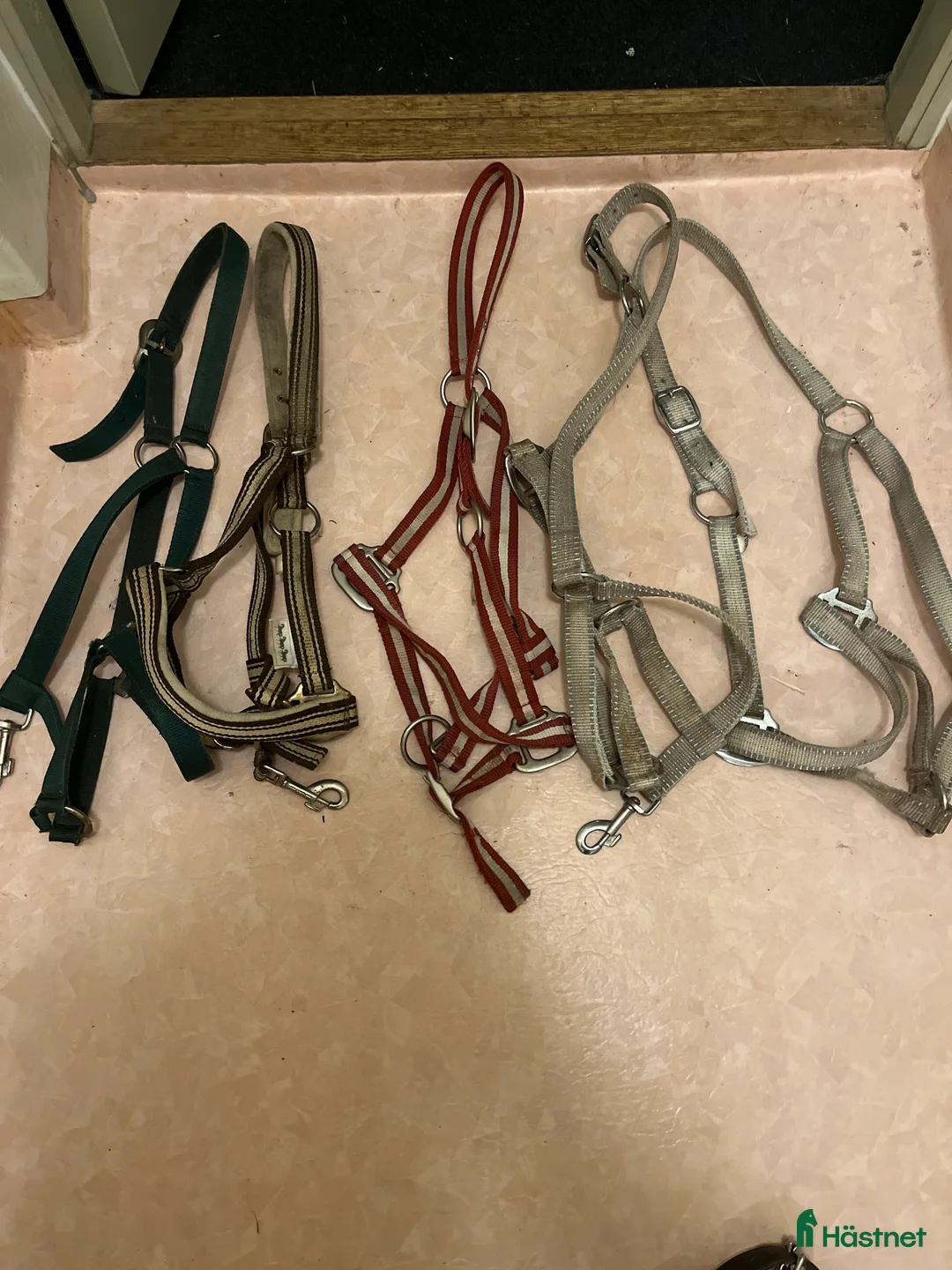 Övrig Hästutrustning hästutrustning till salu: 5 st grimmor  i Borensberg - Annons 1