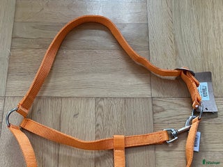 Övrig Hästutrustning hästutrustning till salu: Ponnygrimma. i Helsingborg - Annons 7