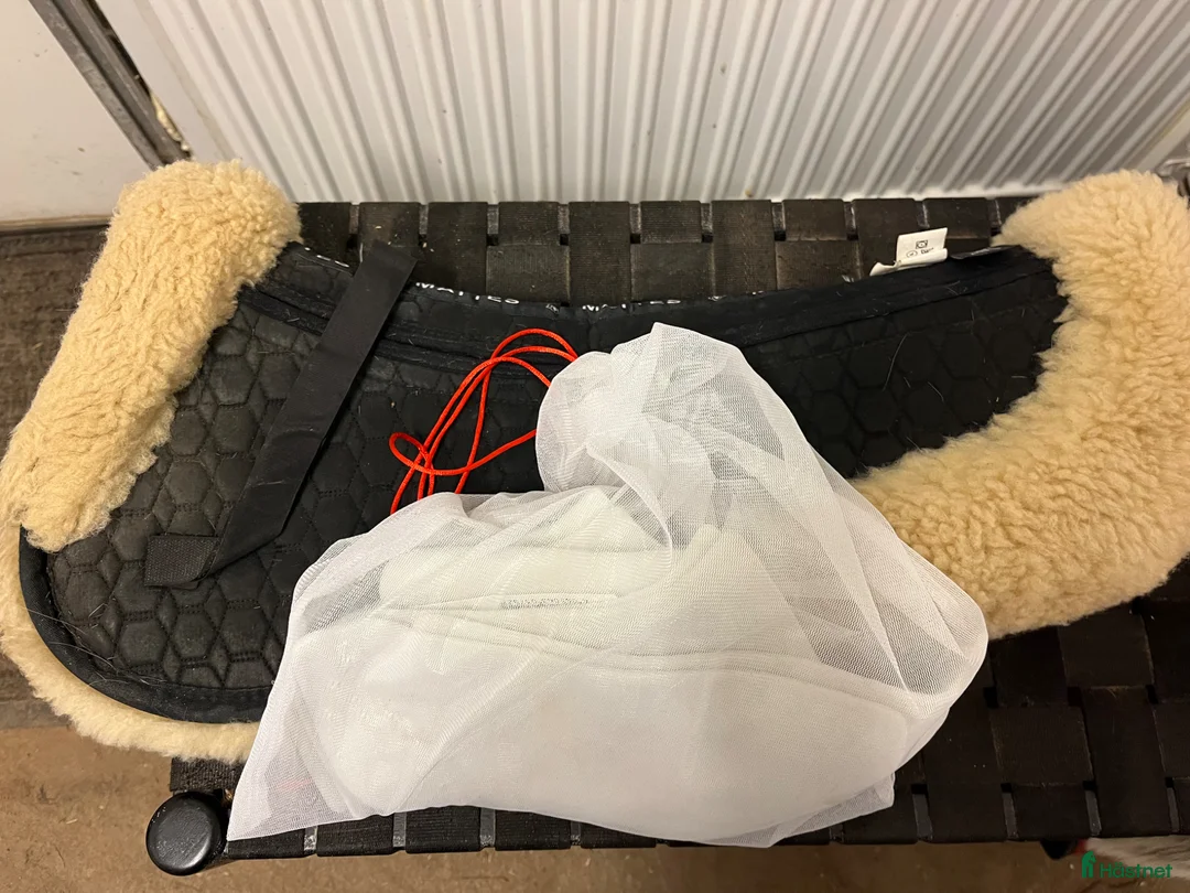 Sadeltillbehör hästutrustning till salu: Svart mattes fårskinnspadd - Annons 1