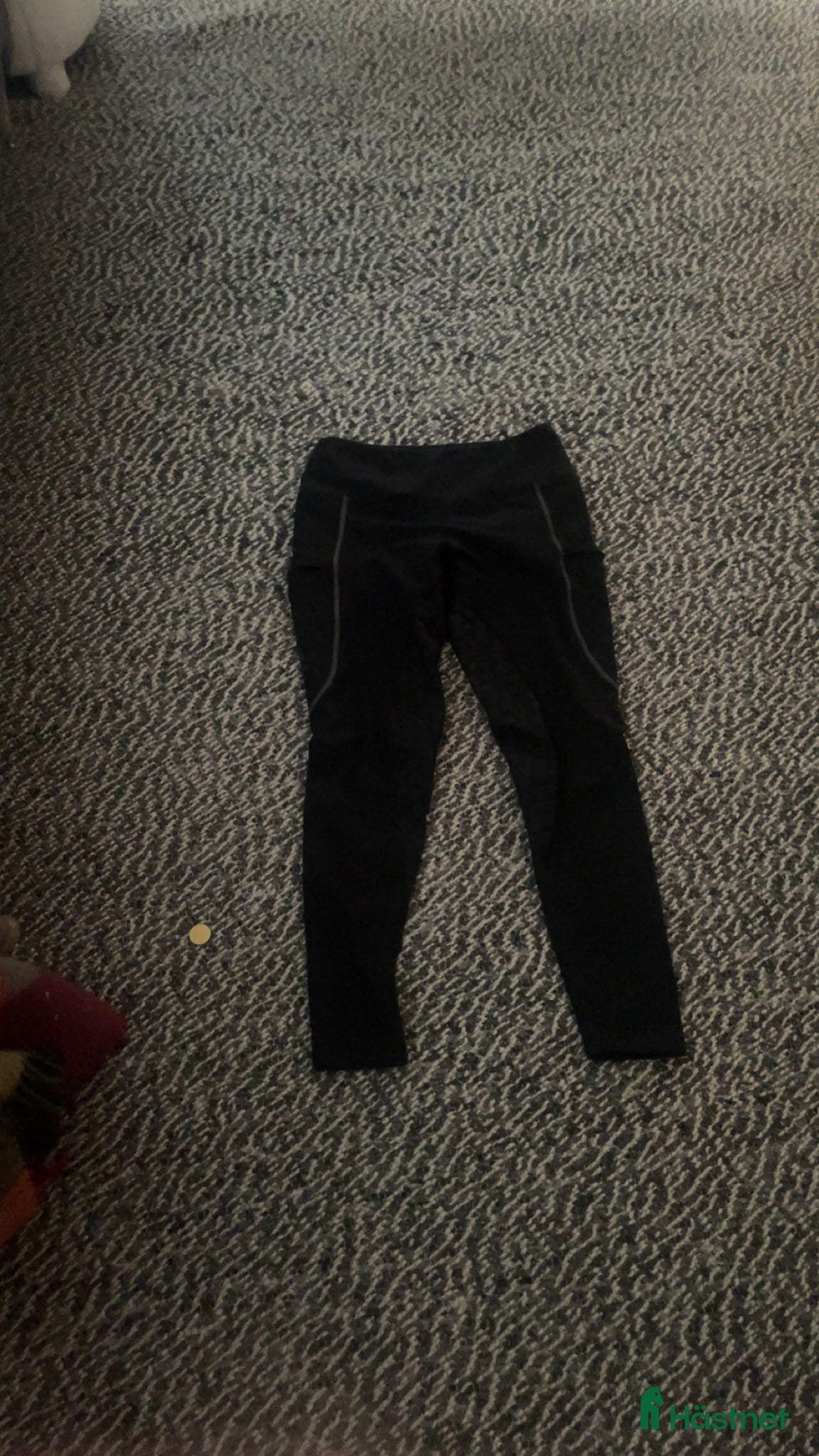 Ridbyxor ryttarutrustning till salu: Nya Maya delorez leggings - Annons 15