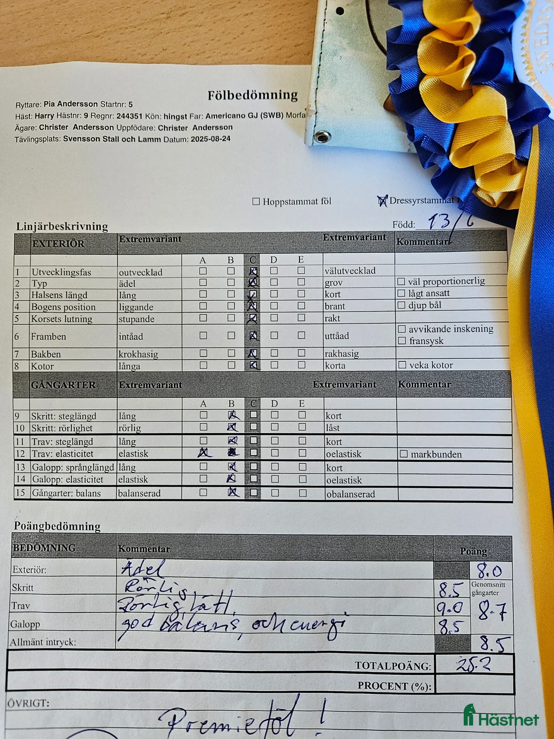 Dressyr hästar till salu: Harry vinnare 83,9% i Köpingsvik - Annons 7