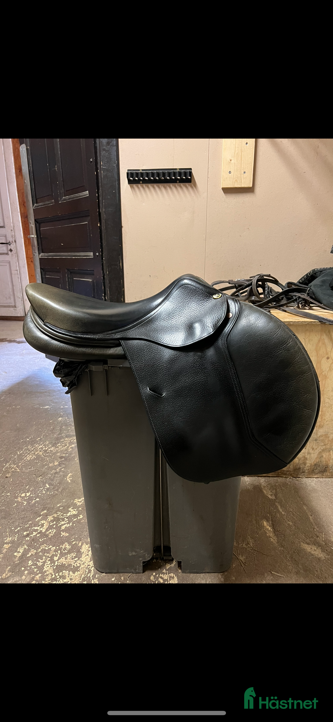 Sadlar hästutrustning till salu: Hoppsadel från Ordo Equester  i Västra Frölunda - Annons 20