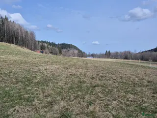 hästar Söker sällskap till 2 åring. - Annons 1